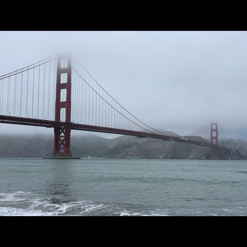 Meet your Posher, Eleanor